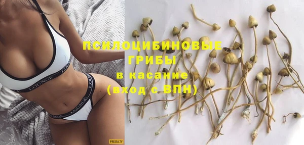 соль курить ск Горнозаводск