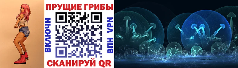 Купить где  Павлово  Галлюциногенные грибы Psilocybine cubensis 